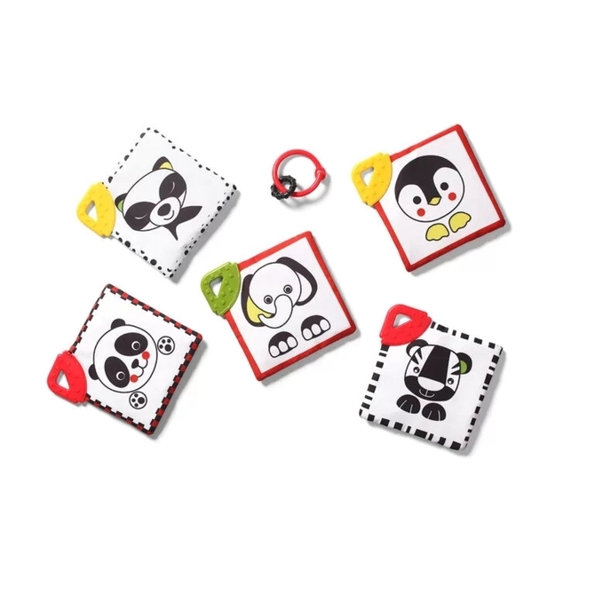 781 DREAM TEAM - C MORE educational cards - Image 2