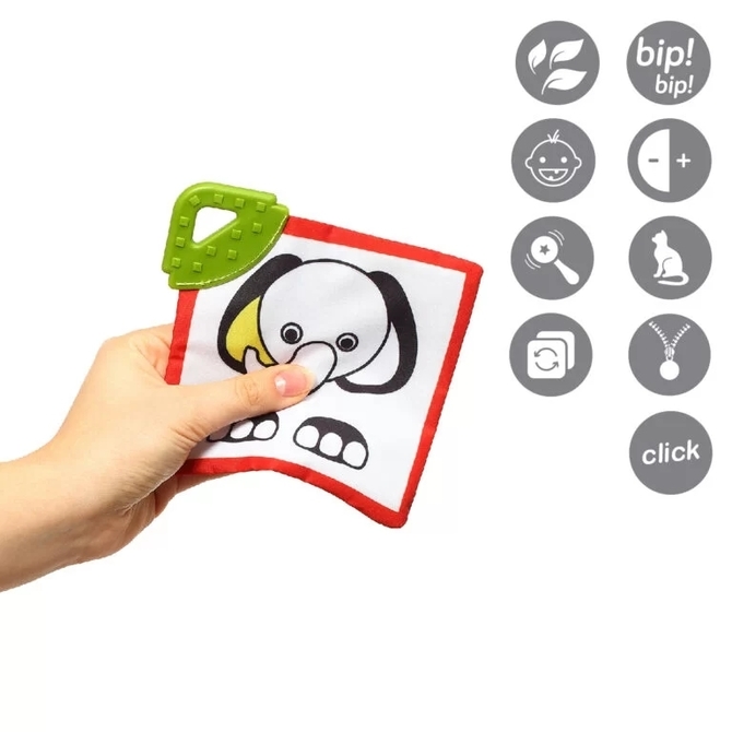 781 DREAM TEAM - C MORE educational cards - Image 5