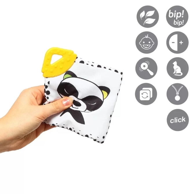 781 DREAM TEAM - C MORE educational cards - Image 7