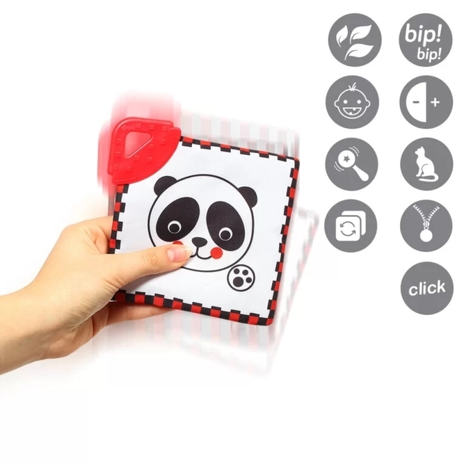 781 DREAM TEAM - C MORE educational cards - Image 6