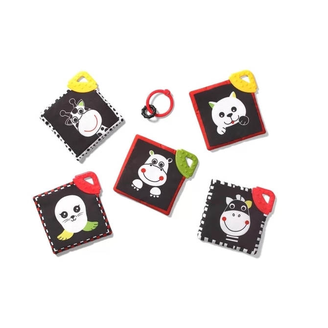 781 DREAM TEAM - C MORE educational cards - Image 8