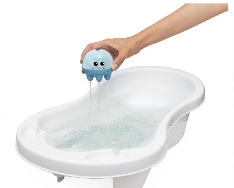 173549 OCTOPUS AND BATH CRAB - Image 3