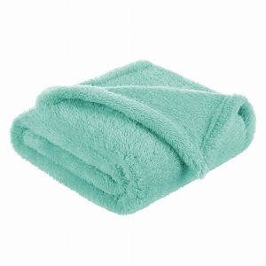 1095 MINT POLAR BLANKET