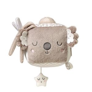 1637 KOALA COCO SENSORY CUBE